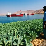 Home 18 에리트레아의 현대적 변화 - **Eritrean Economic Awakening: Modern Industry and Vibrant Landscapes**
A wide-angle, realistic ...