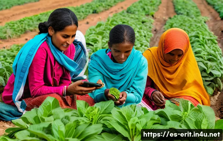에리트레아 농업 기술 관련 이미지 1