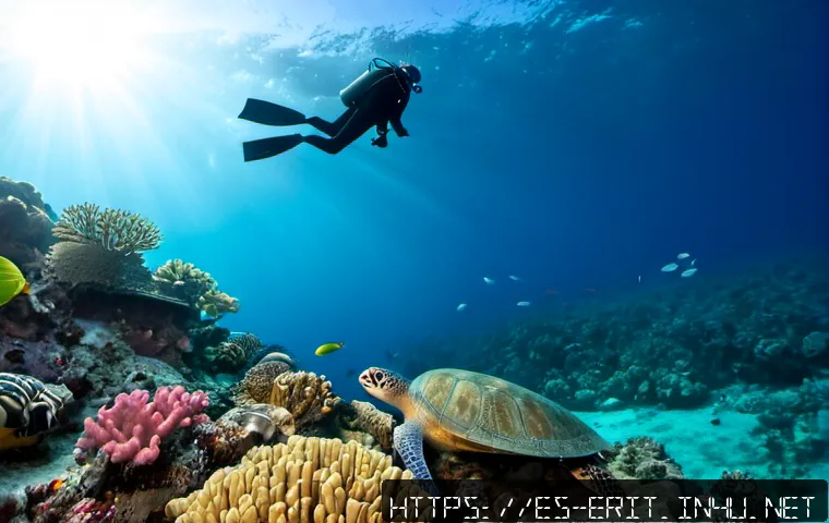 에리트레아 해양 탐험 - Photorealistic underwater marine exploration in Eritrea’s Red Sea near the Dahlak Archipelago, a ful...