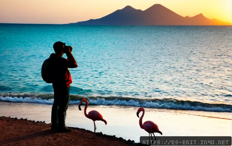 에리트레아의 조류 관찰 - Photorealistic birdwatching scene on Eritrea’s Red Sea coast near Massawa, a Spanish-speaking travel...